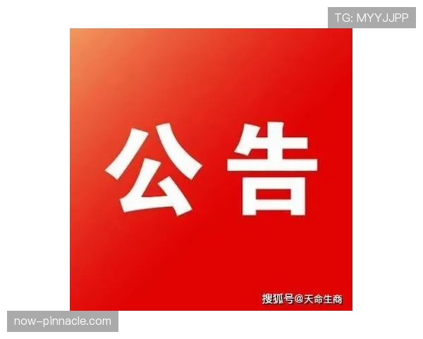 比赛暂停期间的规则适用与恢复流程解析